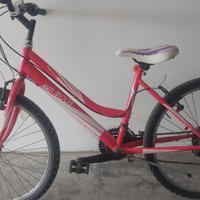 bici 24