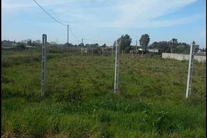 Terreno Agricolo 1000mq