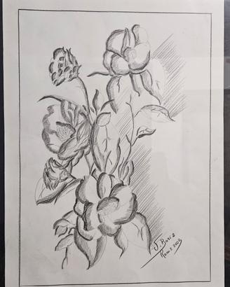 Quadro floreale a carboncino firmato 50x40 cm