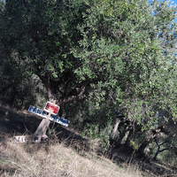 Tetreno agricolo con 90 piante ulivo pianegg