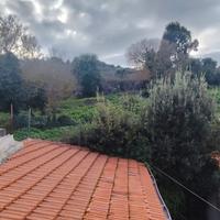 Terratetto unifamiliare con giardino