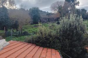 Terratetto unifamiliare con giardino