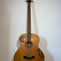 Basso acustico richwood amplificabile