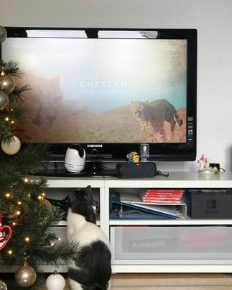 TV Samsung 37" pollici