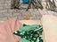 Immagine 5
