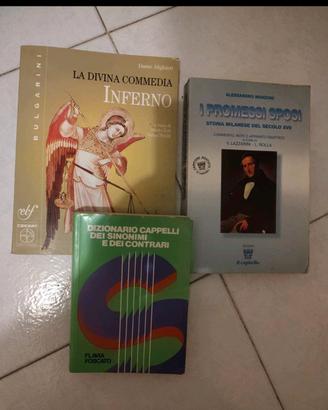 I PROMESSI SPOSI+INFERNO+Sinonimi libri SCUOLA