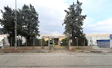 CAPANNONE A TORINO