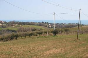 Terreno edificabile residenziale - Massignano