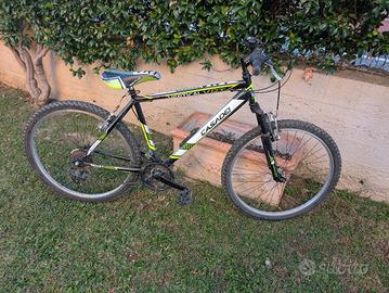MTB Casadei