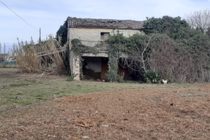 Casa Colonica a 5km dal Centro di Rimini