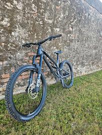 Canyon Torque 2023