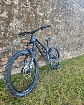 Canyon Torque 2023