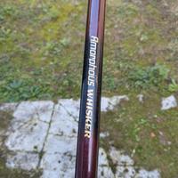 daiwa amorphous whisker 