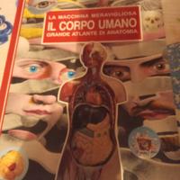 libro IL CORPO Umano 