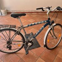 Bici Lombardo ortler 100