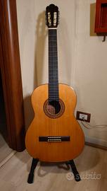 Chitarra Acustica Abe Gut