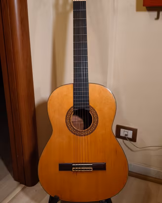 Chitarra Acustica Abe Gut