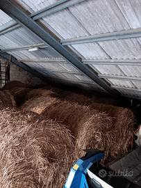 Paglia per cavalli/mucche/pecore/capre