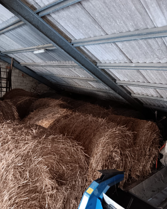 Paglia per cavalli/mucche/pecore/capre