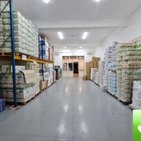 Locale Capannone 250 Mq + Piazzale 300 Mq