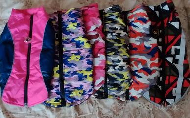 Set cappottini per cani.