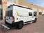 Immagine 6