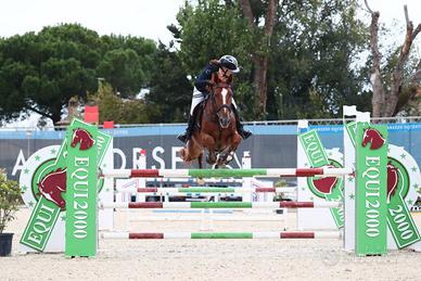 Cavalla 13 anni saura per fattrice