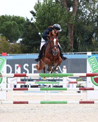 Cavalla 13 anni saura per fattrice