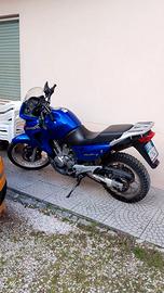 Transalp 650 iscritta asi