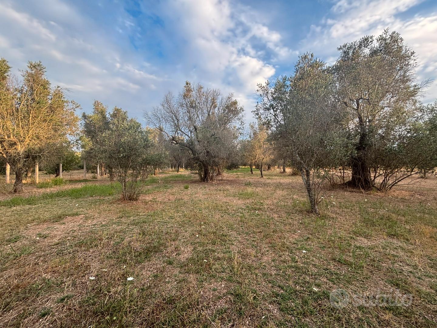 Terreno rustico nei pressi di SP70 Torre S.S./Lati - Vista 4