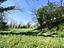 Immagine 25