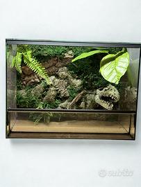 Terrario preallestito 40x30x30