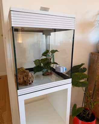 Acquario Askoll Pure M con Stand Askoll