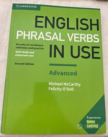 Phrasal Verbs in Use (Advanced)