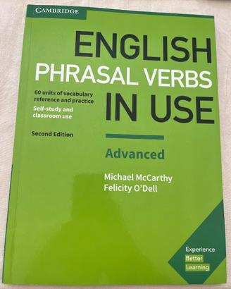 Phrasal Verbs in Use (Advanced)