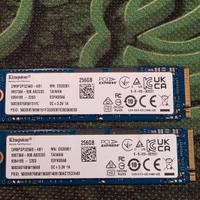 Kingston SSD M2 pcie 3.0 256GB pz 2 dispo