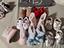 Immagine 1