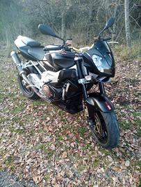 Aprilia tuono 1000 v2