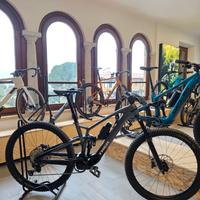 TREK Fuel EX-e 9.7 CARBON tg.L USATO