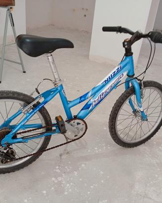 Bici alluminio 20 pollici 