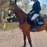 Set sottosella e cuffietta