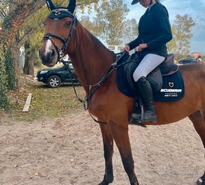 Set sottosella e cuffietta