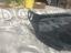 Immagine 3