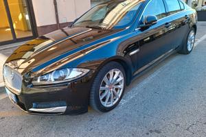 Jaguar XF 3.ods Luxury 275cv