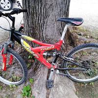 Bici Nuzzi FW224 Mountanbike