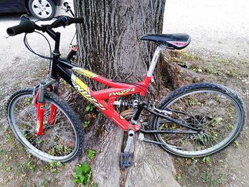 Bici Nuzzi FW224 Mountanbike