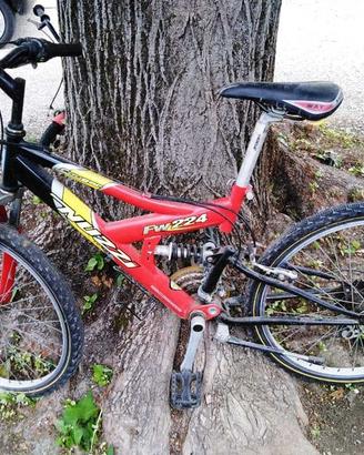 Bici Nuzzi FW224 Mountanbike