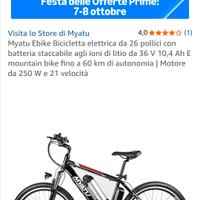 bicicletta elettrica 