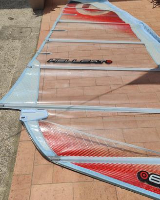 Vela windsurf NEIL PRIDE