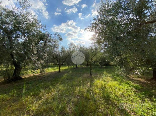 TER. AGRICOLO A MORICONE